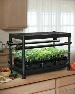 Stack-n-Grow Lights - Base Unit