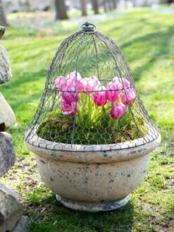 Chicken Wire Cloche 15 Chicken Wire Cloche -garden Sales Store 8590210 021 tif
