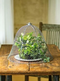 Chicken Wire Cloche 19 Chicken Wire Cloche -garden Sales Store 8590210 1 tif