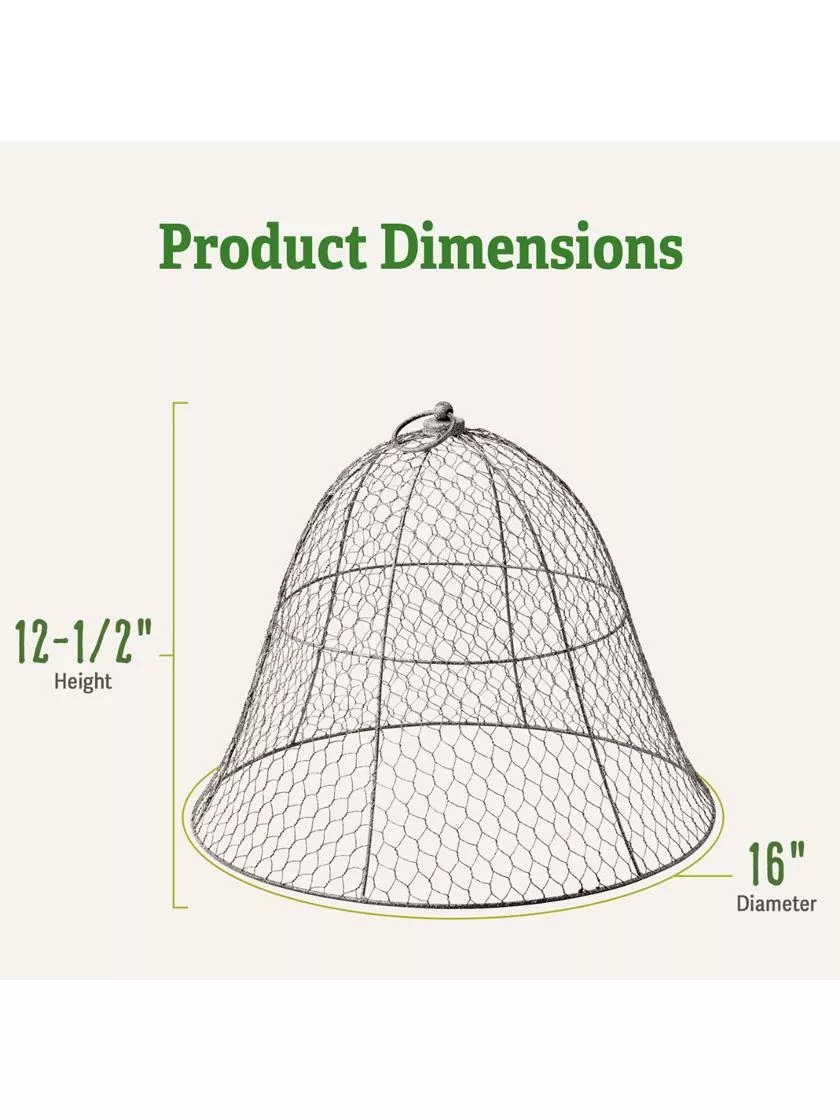 Chicken Wire Cloche 5 Chicken Wire Cloche - Image 3