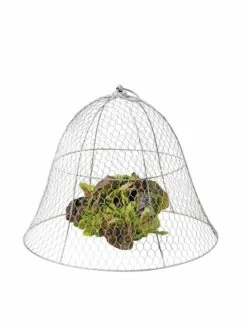 Chicken Wire Cloche 20 Chicken Wire Cloche -garden Sales Store 8590210 675 tif