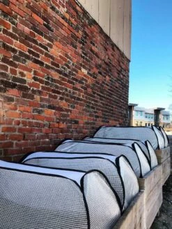 Row Shelter Accelerator 11 Row Shelter Accelerator -garden Sales Store 8591990 01IN tif