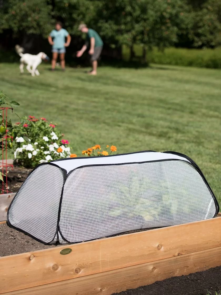 Row Shelter Accelerator 4 Row Shelter Accelerator - Image 2