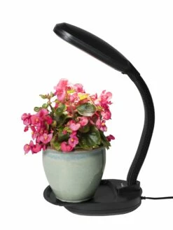 Agrobrite Desktop Plant Light