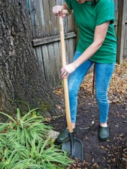 Gardener's Lifetime Dig And Pry Tool