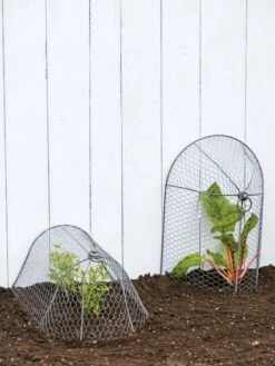 3-in-1 Chicken Wire Cloche 11 3-in-1 Chicken Wire Cloche -garden Sales Store 8592117 0188 tif