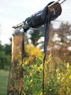 Storm Proof Crop Cage, Large -garden Sales Store 8592463 115 tif