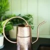 Copper Indoor Watering Can 2 Copper Indoor Watering Can -garden Sales Store 8593724 5369 tif