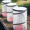 Tomato TLC Kits, Set Of 3 -garden Sales Store 8594214 0183 tif
