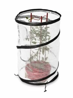 Tomato TLC Kits, Set Of 3 -garden Sales Store 8594214 9380 tif