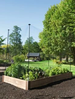 Protection Stakes For Netting, Set Of 4 -garden Sales Store 8594434 0015 tif