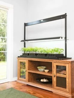 LED SunLite® Tabletop Garden