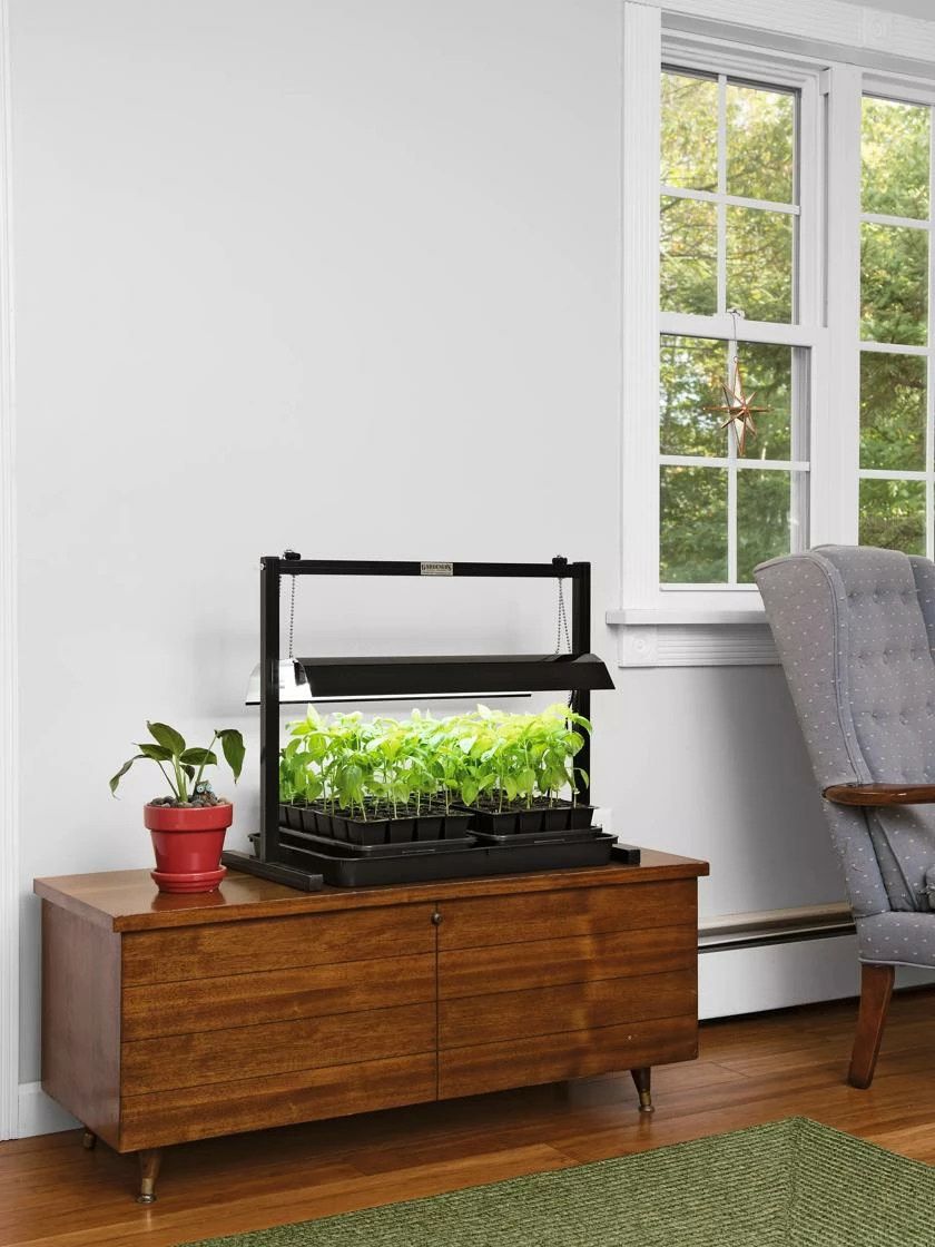 LED SunLite® Compact Tabletop Garden 3 LED SunLite® Compact Tabletop Garden