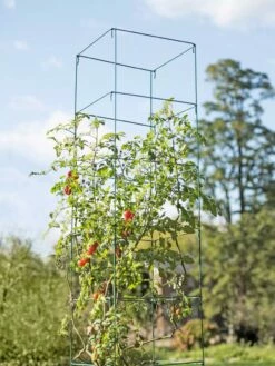 Mammoth Tomato Towers, Set Of 2