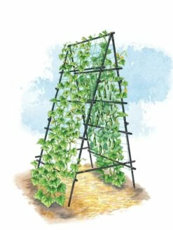 Titan A-Frame Trellis -garden Sales Store 8595755 TitanAFrame art tif