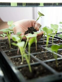 LED Stack-n-Grow Lights - Base Unit -garden Sales Store 8595770 7373 tif