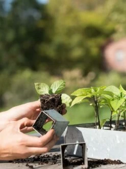 Galvanized Seed Starting Tray -garden Sales Store 8595893 4382 tif