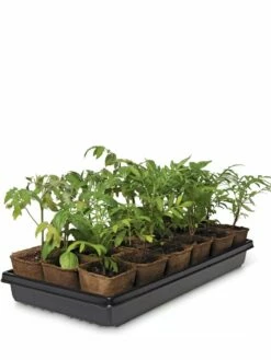 3-1/2” Square Biodegradable Pots & Tray Set 7 3-1/2” Square Biodegradable Pots & Tray Set -garden Sales Store 8595968 3916 tif