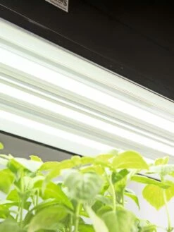 LED SunLite® High Intensity Fixture