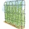 Titan Pea Tunnel 2 Titan Pea Tunnel -garden Sales Store 8596275 0002 1 tif