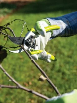 Gardener's Pro Pruner #2 -garden Sales Store 8596605 032 tif