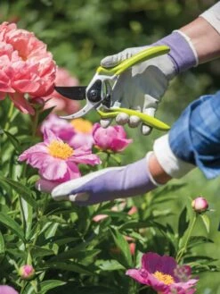 Gardener's Pro Pruner #2 -garden Sales Store 8596605 1261 tif