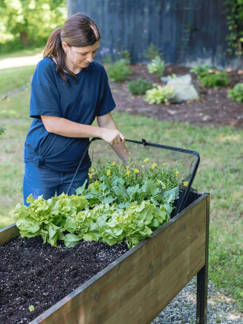 Pop-Up Bird Netting 4 Pop-Up Bird Netting - Image 2