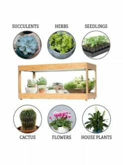 Low Bamboo LED Grow Light Garden -garden Sales Store 8597720 3