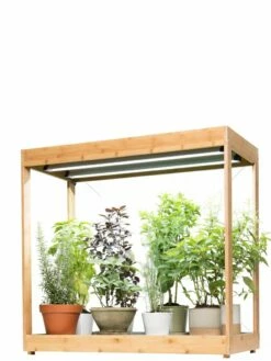 Medium Bamboo LED Grow Light Garden -garden Sales Store 8597883 1011 tif