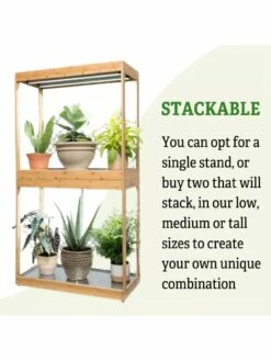 Medium Bamboo LED Grow Light Garden -garden Sales Store 8597883 6