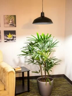 Barnyard Pendant LED Grow Light 7 Barnyard Pendant LED Grow Light -garden Sales Store 8598025 0256