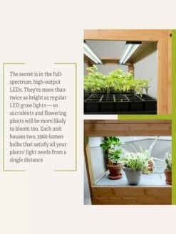 Bamboo LED Grow Light Garden For Succulents And Seeds -garden Sales Store 8598084 7