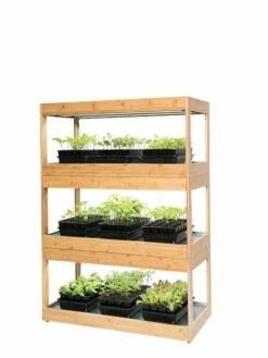 Bamboo LED Grow Light Garden For Succulents And Seeds -garden Sales Store 8598084 7785 tif