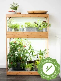 Bamboo Home LED Grow Light Garden