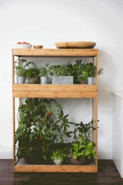 Bamboo Home LED Grow Light Garden 18 Bamboo Home LED Grow Light Garden -garden Sales Store 8598088 BambooLEDHomeGarden light gif