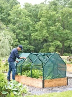 3-Season Plant Protection Tent, 4' X 8' -garden Sales Store 8598282 0101 tif