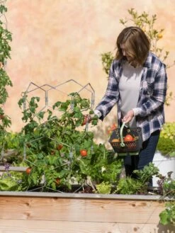 Gardener's Vertex Lifetime Tomato Cage -garden Sales Store 8598426 0026 tif