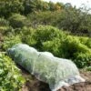 Insect Protection Tunnel -garden Sales Store 8598536 8225 tif