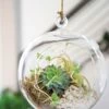 Floating Orb Terrarium Kit -garden Sales Store 8599146 02v floating orb glass terrarium kit