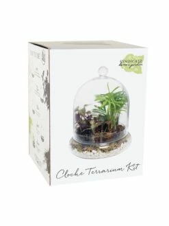 Cloche Terrarium Kit Medium -garden Sales Store 8599148 01v