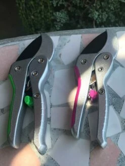 Ratcheting Clippers -garden Sales Store 8599161 03V tif