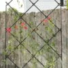 Achla Designs Freestanding Lattice Trellis -garden Sales Store 8599475 01V tif