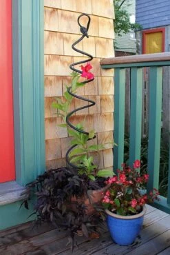 Achla Designs Spiral Trellis