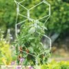 Gardener's Vertex Lifetime Pepper And Eggplant Cage -garden Sales Store 8599554 3000 tif