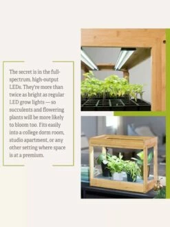Bamboo Mini LED Grow Light Garden -garden Sales Store 8599624 06