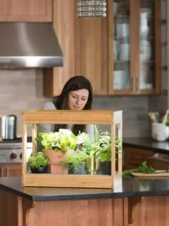 Bamboo Mini LED Grow Light Garden -garden Sales Store 8599624 12532 tif