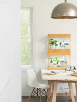 Bamboo Mini LED Grow Light Garden -garden Sales Store 8599624 13244 tif