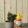 Espoma Cactus! Plant Food -garden Sales Store 8599778 18453 tif