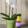 Espoma Orchid! Plant Food -garden Sales Store 8599783 18431 tif