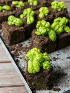 Soil Blocker, 4 Cell -garden Sales Store 8599790 1057 tif